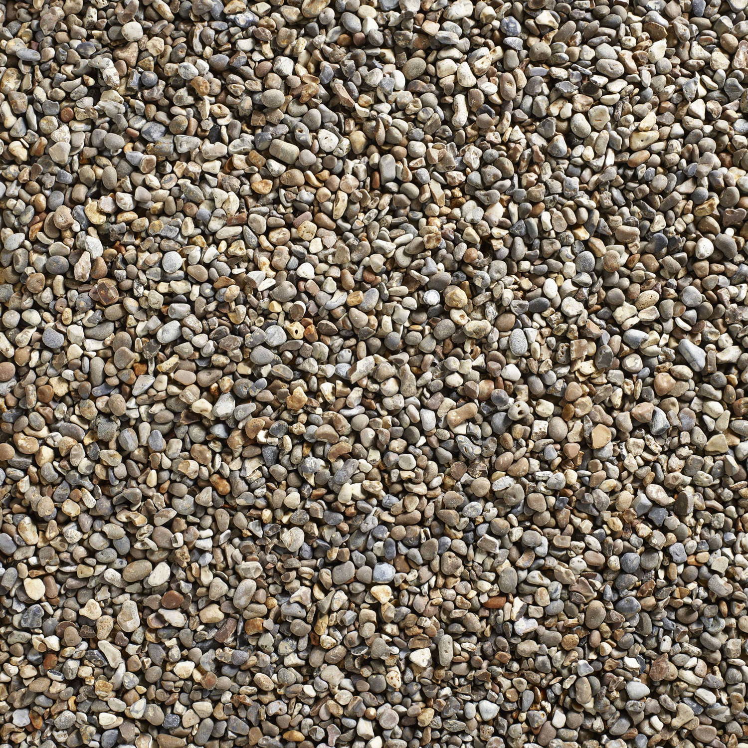 Oyster Pearl Decorative Pebbles Stones